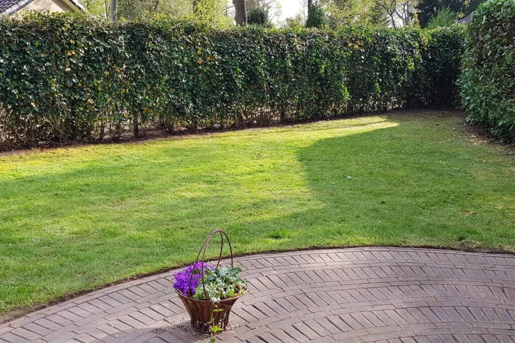 4-6 Persoons Vakantiewoning Met Eigen Tuin Villa Bakkeveen Buitenkant foto
